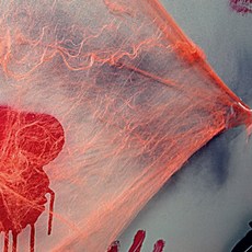 Party Pang 蜘蛛網派對用品, 橘色, 12入