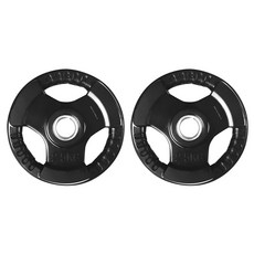 이고진 크로스핏 고무원판, 2.5kg, 블랙, 2개