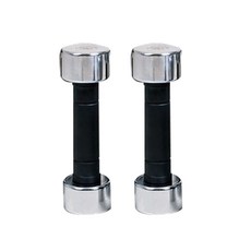이고진 크롬 도금 아령, 3000g, 2개