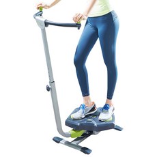 이화에스엠피 유승옥 트위스트 앤 쉐이프 운동기구, 티탄실버 + 그린, 1개