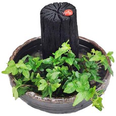 HAPPY WORLD 陶瓷水盆, 混合顏色