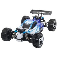 볼텍스 WLTOYS 입문용 RC카 A959, 블루, 1개