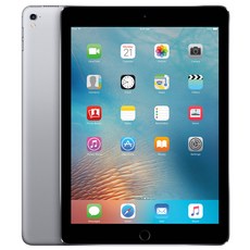 Apple 아이패드 프로 9.7 Wi-Fi + 셀룰러 32GB, 스페이스 그레이, Wi-Fi+Cellular