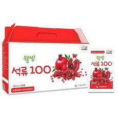 산청앤바이오 웰빙 석류 100 주스, 1박스