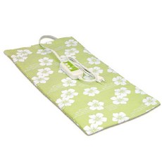 Shinil Elvan Stone Steamer, SCM-950DT