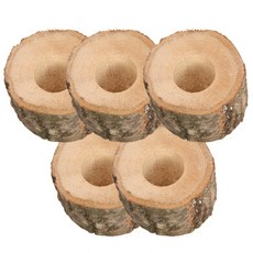 곤충농장 장수풍뎅이 먹이 접시, 5개입, 5개