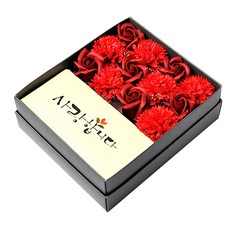 HAPPY WORLD 康乃馨錢箱, 紅色的