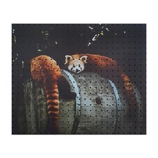 Anvy Commerce 室內洞洞板 小熊貓, 1個, 黑色