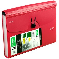 파이브스타 13개 포켓 익스팬딩 파일, 혼합 색상, 1개