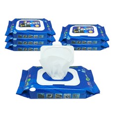 Dongsung Cleaner 萬用清潔濕巾 掀蓋型 100抽, 100入, 6個