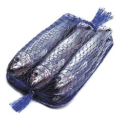 MICHEL CLUIZEL 趣味沙丁魚造型牛奶巧克力, 6入, 15g
