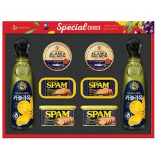 [2017 추석선물세트] CJ 특별한 O-1호 + 쇼핑백, 1세트