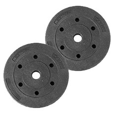 이고진 PE 블랙원판 바벨, 5kg, 2개