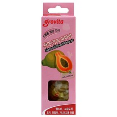 그로비타 소동물 영양간식 건조 파파야, 48g, 1개