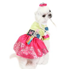 為 Yitzdog 的狗準備的 Jeongeum Saekdong 韓服, 混色