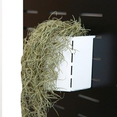 takongpan 洞洞板配件 五角收納盒 M, 白色, 1個