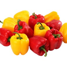 농협 실속형 파프리카, 2kg 내외, 1박스