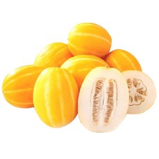 농협 가정용 성주 참외, 3 kg(7~12과), 1개