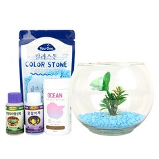 Ocean Beta Fishbowl 天藍色套組, 1組