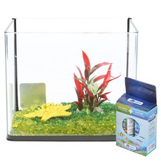 초록끈 Chorokkkeun 生物沙魚缸套組, 隨機發貨