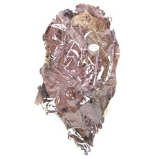 파이브오션 알몬드 잎 10p, 1개