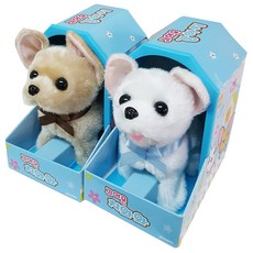 ZAMINA 大眼睛小狗, 吉娃娃, 隨機出貨