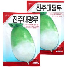 모리앤 진주대평무 씨앗, 2개입