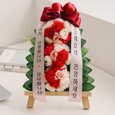 아스파시아 콩그레츄레이션 카네이션 미니화환