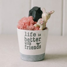 러블리즈 핑크 스칸디아모스 숯 화분, 1개