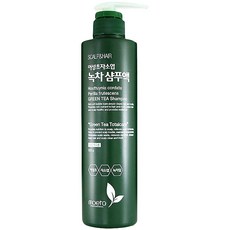 모에타 어성초 자소엽 녹차 샴푸 지성용, 500g, 1개