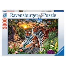 Ravensburger 德國維寶 藏虎拼圖 170722, 3000件, 混色