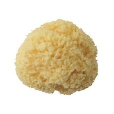 Bellini 義大利地中海蜂巢海綿 SA12, 小雞顏色, 1入