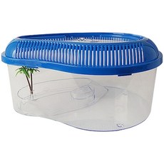 Mimine Aqua 烏龜(寄居蟹) AQ838 L號, 1個