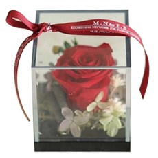 ASPASIA 永生花 紀念玫瑰, 紅色