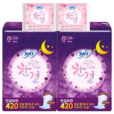 바디피트 한결 슈퍼롱40p + 한결중형 4p, 44개입, 1세트