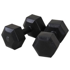 이고진 블랙육각 덤벨, 6kg, 2개