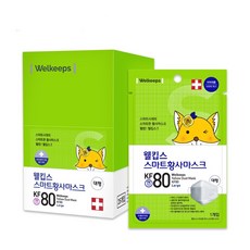 웰킵스 스마트황사마스크 KF80대형, 1매, 1개