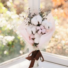 ASPASIA 棉花花束 7串, 粉色