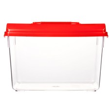 Aqua Plus Daeil Collector MEDIUM（無色）, 1個, 隨機出貨