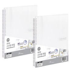 에코청운 칼라칩 스프링 화일 30매 A4, 투명, 2개