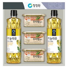 청정원 팜고급유5호 + 쇼핑백, 1세트