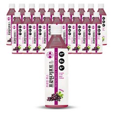케이에프앤비 프로틴기프트 단백질음료 포도맛, 20개, 500ml