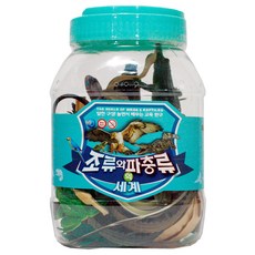 동물의왕국 조류와파충류 점보 동물학습, 1개 1개