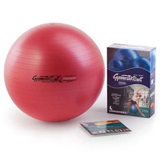 Endish 意大利 Red Lagomma Premium Maxcafe Gymnestic 健身球 42 運動 DVD 包括 sesp_e, 1個