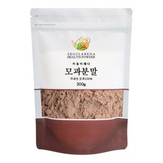 서울아레나 모과 분말, 300g, 1개
