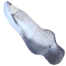 스토어33 진짜같은 생선 반려동물 장난감 S, C, 1개