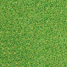 베스트그린 굳센글로벌 고밀도 인조롤잔디 GX800 100cm x 300cm, 인조잔디, 1개