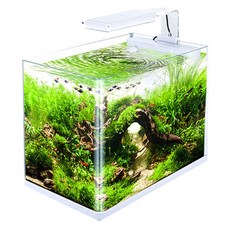 Sobo 背水槽一體式魚缸 CR-400F