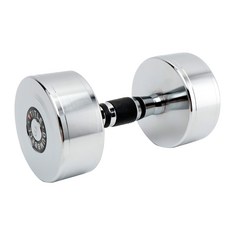 타이틀 크롬 도금 고밀도 아령, 9kg, 1개