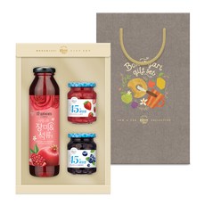 복음자리 복합9호 잼 & 액상차 선물세트, 1세트, 335ml